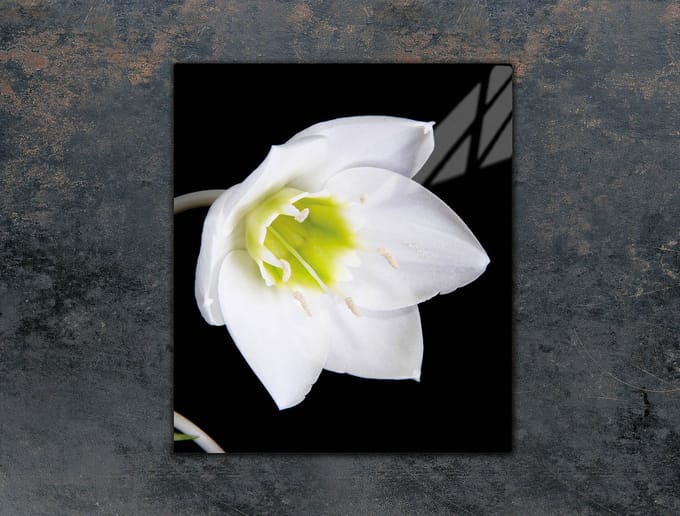 TMK ArtDeko Serie - Snijplank van gehard glas - 45x52 cm - Motief Orchidee
