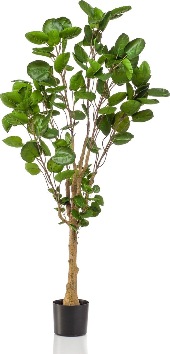 Emerald - Kunstboom Polyscias 150cm - Kunstplant voor binnen