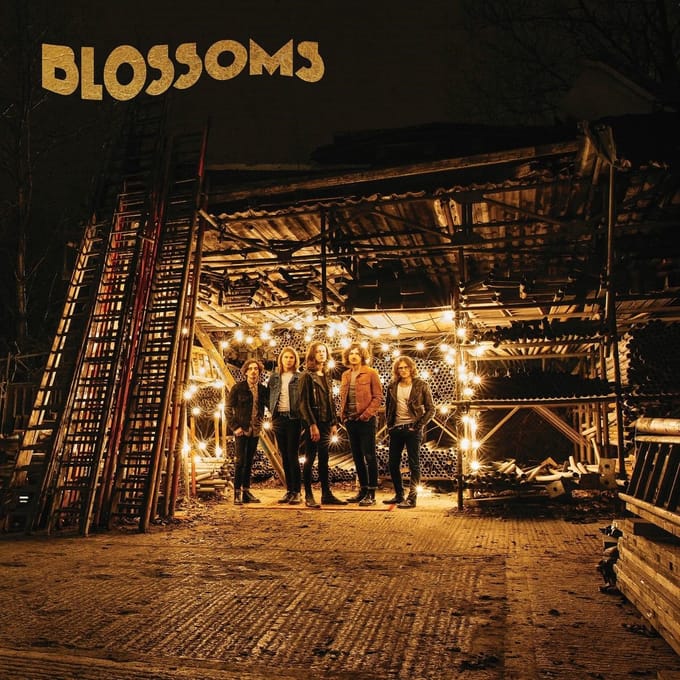 Blossoms - Blossoms (CD)