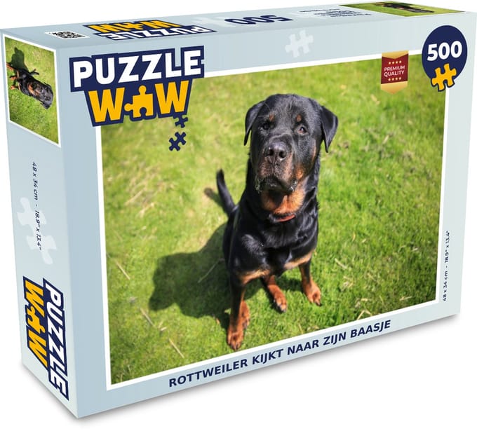 Puzzel Rottweiler kijkt naar zijn baasje - Legpuzzel - Puzzel 500 stukjes