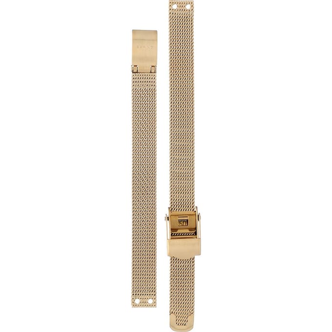 Bering Straps PT-A14520S-BMGX Classic band