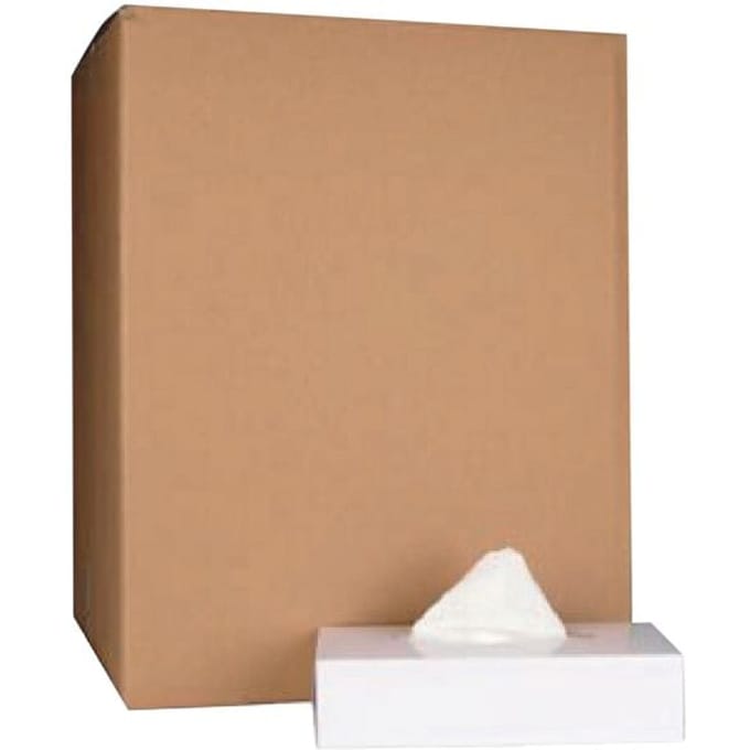 Papieren zakdoek, 2-laags, 100 tissues per doos, pak van 40 doosjes