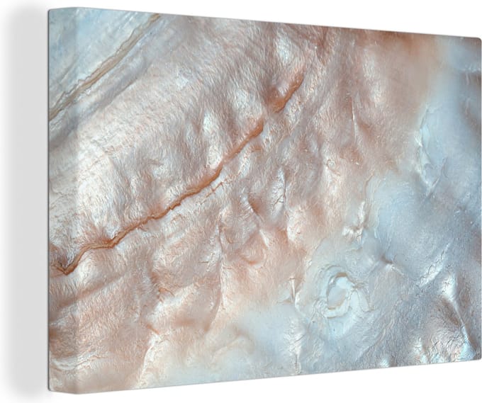 Canvas Schilderij Schelpen - Abstract - Natuur - 30x20 cm - Wanddecoratie