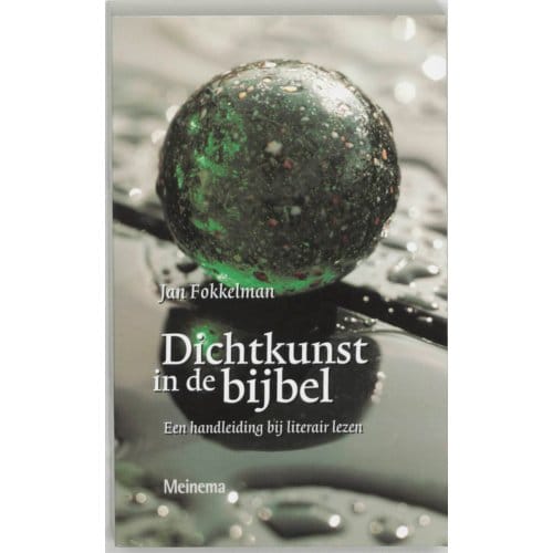 Dichtkunst In De Bijbel - J. Fokkelman