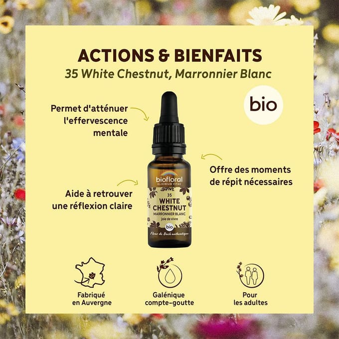 Biofloral- 35 - White chesnut - Paardenkastanje - Bio - Bio Demeter - 20 ml