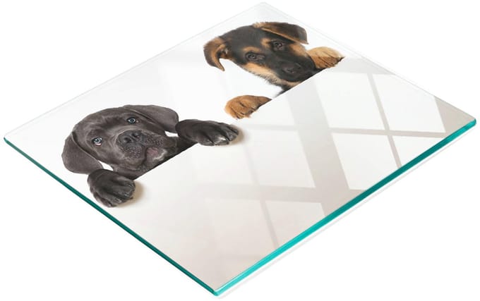 Glazen serveerplank voor in de keuken met afbeelding van drie puppy's, 60x52 cm