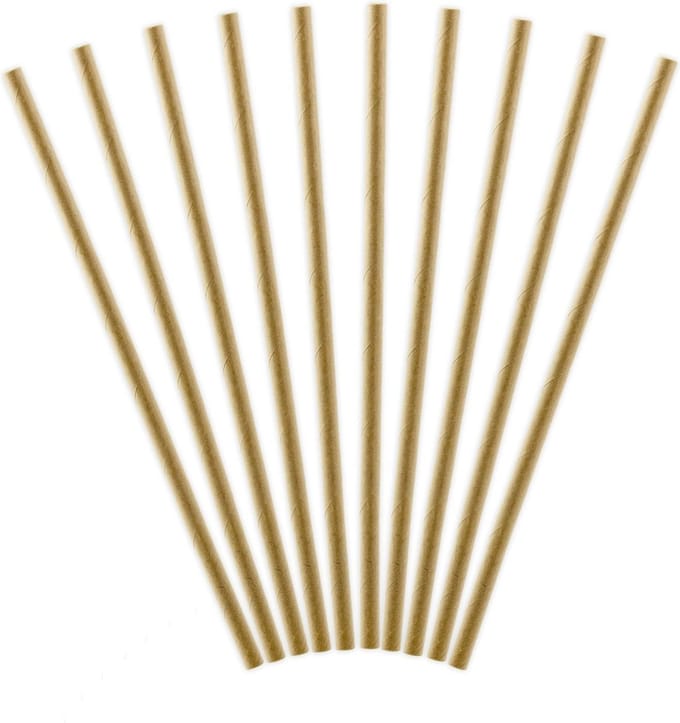 Papieren Rietjes Karton 19,5cm 10st