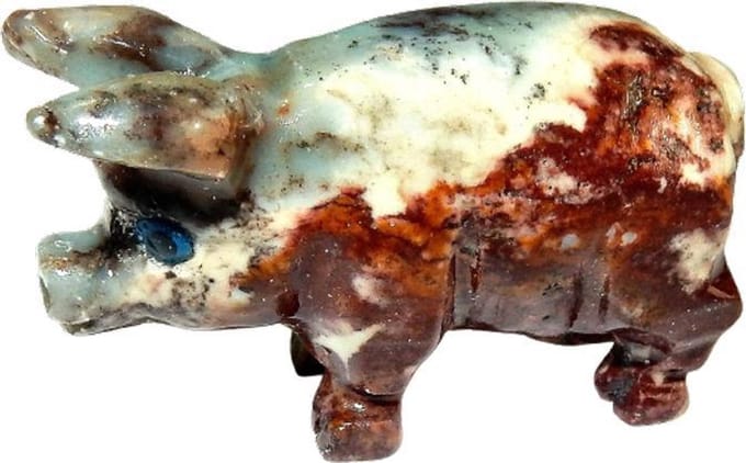 Aragoniet Varken