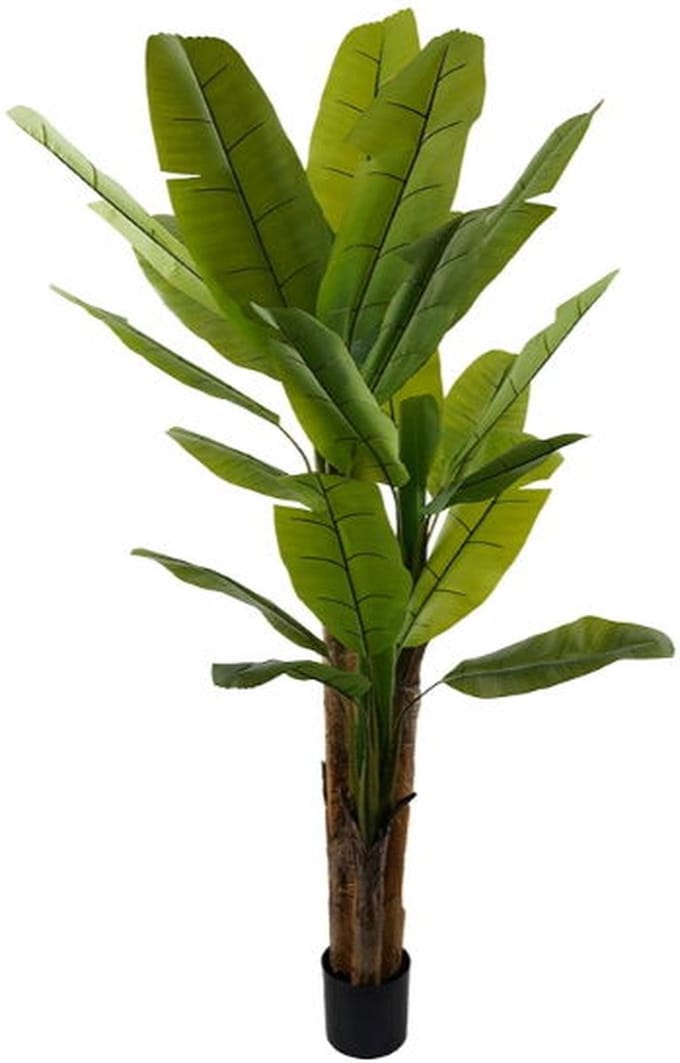 Kunstplant Bananenplant - 220 cm