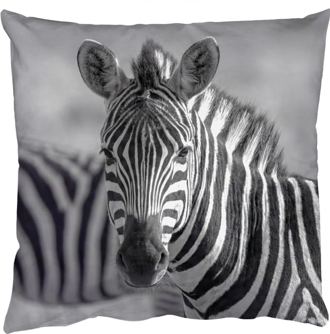 Sierkussens - Kussentjes Woonkamer - 40x40 cm - Zebra's - Zwart - Wit