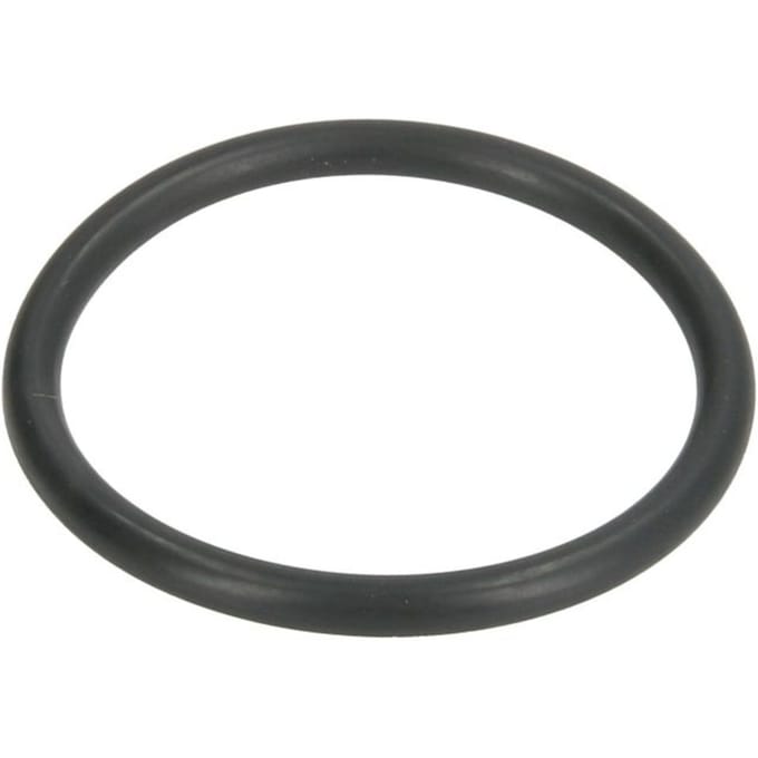 Versnellingsbak O-ring ZF 0634303422ZF