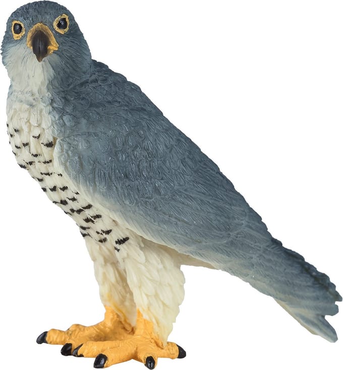 Mojo Wildlife Slechtvalk - 381056