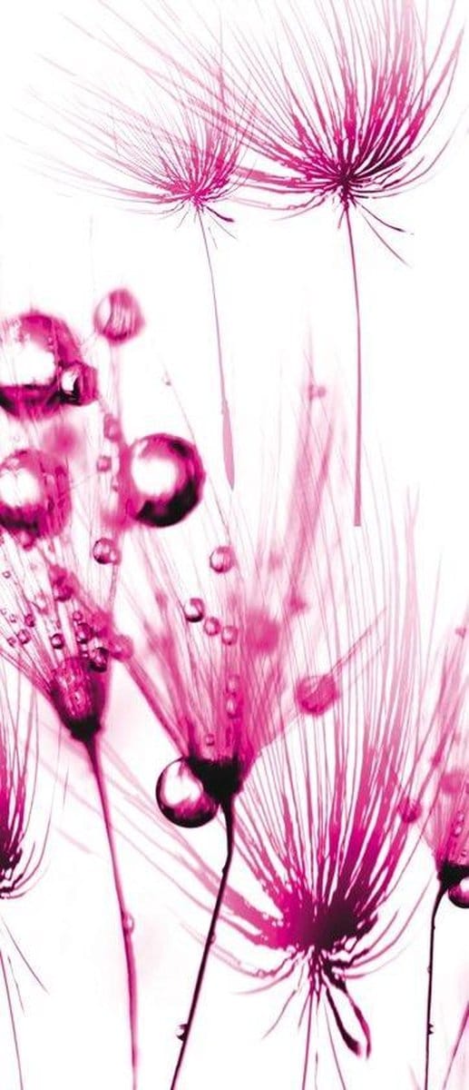 Flowers  Photo Wallcovering