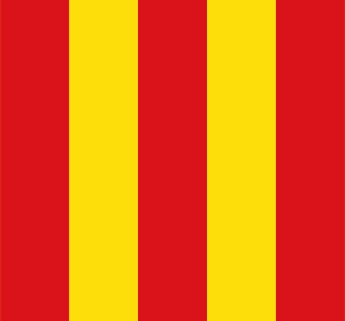 Vlag Mortsel 150x225cm