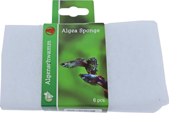 Boon aquarium algenspons 6 stuks 15x8 cm wit wit