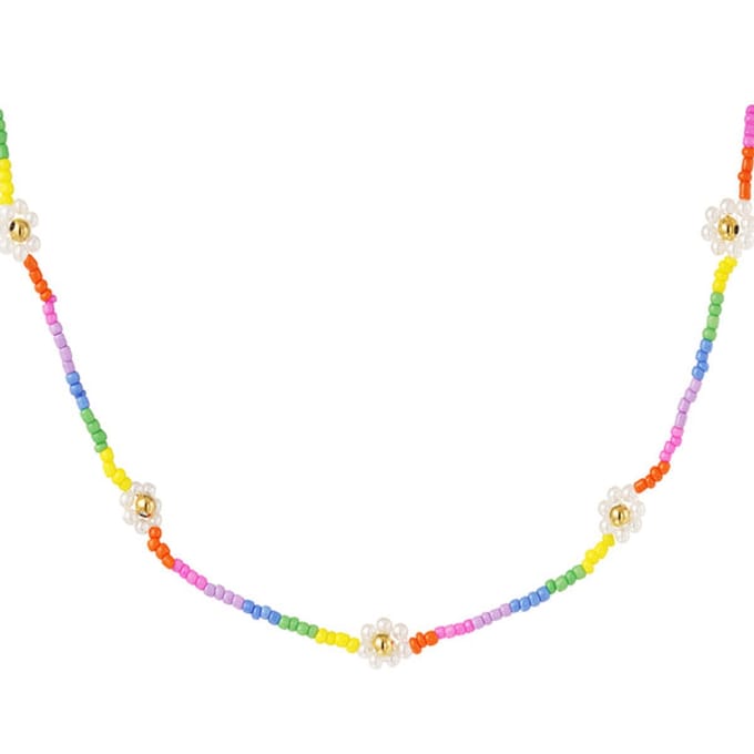 Bijoutheek Collier Rainbow Witte Bloemen