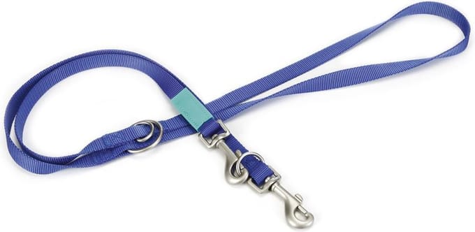 Beeztees Uni - Hondenriem - Blauw - 200 cm x 20 mm