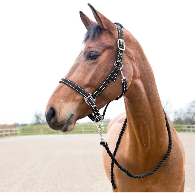 Halster en touwset voor paarden Horze Cooper