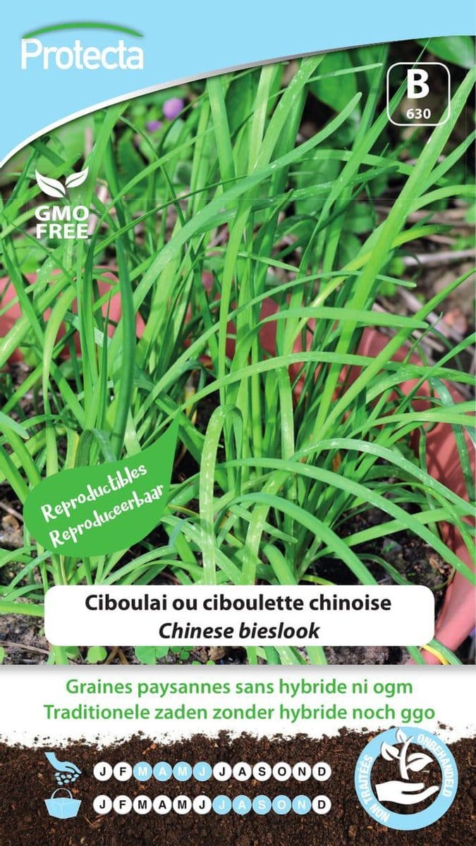 Protecta Groente zaden: Chinese bieslook | Chin Suan