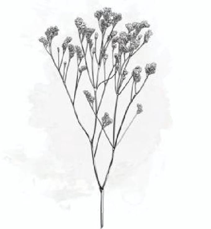 25x Lim. - wit 60cm