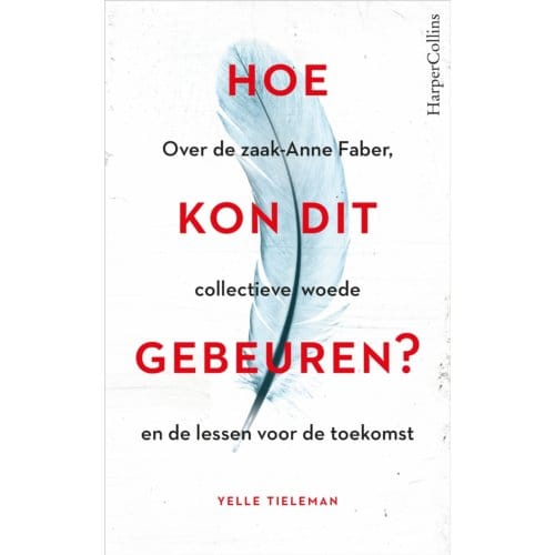 Hoe Kon Dit Gebeuren? - Yelle Tieleman