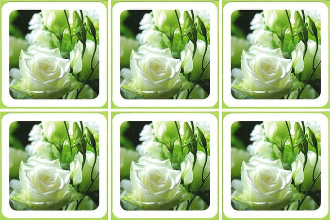 6 Wenskaarten met envelop - Vierkant - Blanco - Bloemen - Gekleurde envelop - 16 x 16 cm