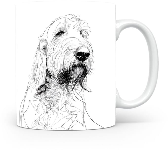 Beker Otterhound