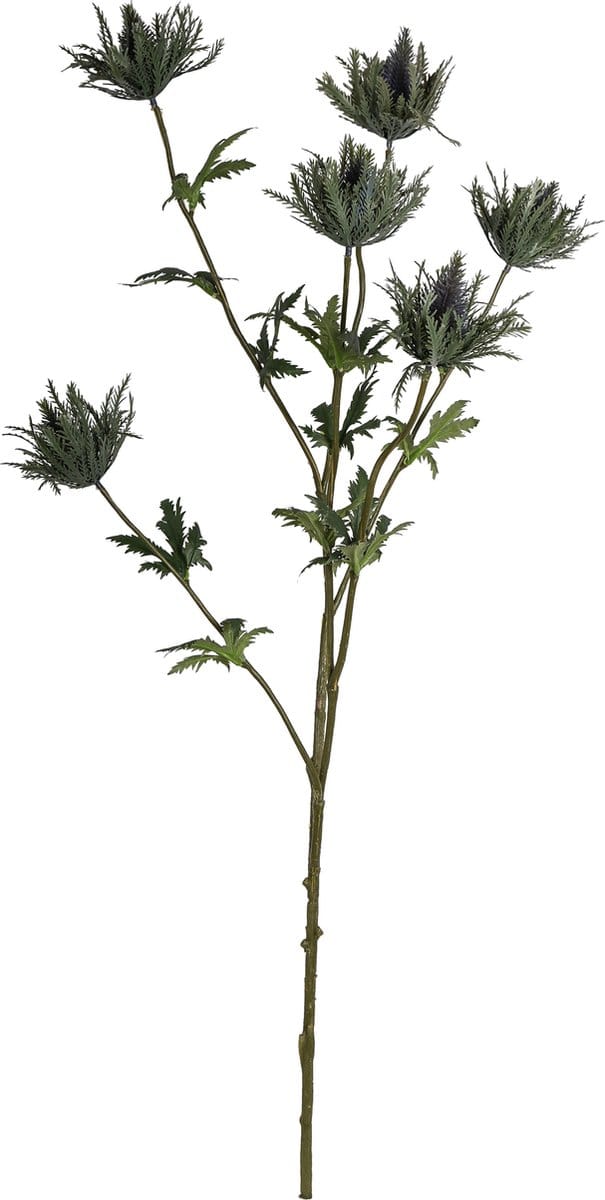 PTMD  thistle plant groen distel spray met bladeren