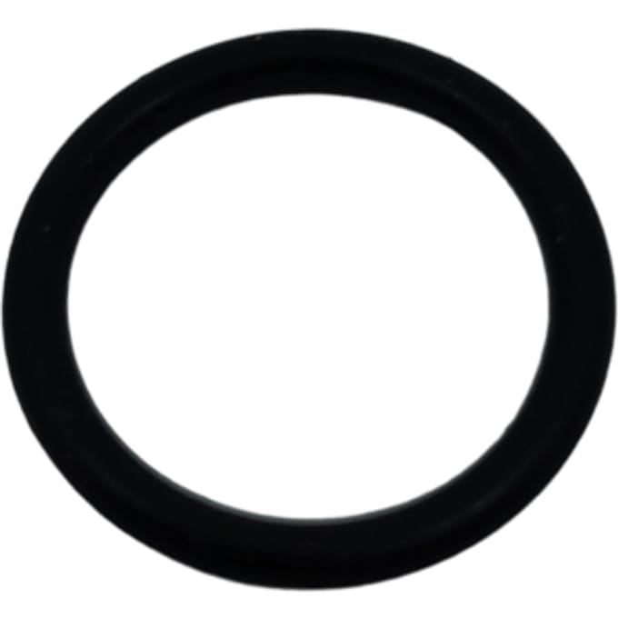 O-ring