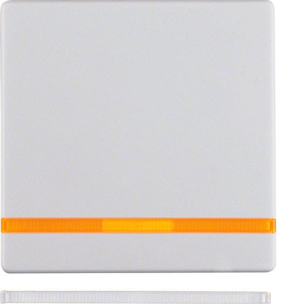 Hager Berker Q.1/Q.3 Schakelelement/Centrale plaat - 16216089 [2 stuks]