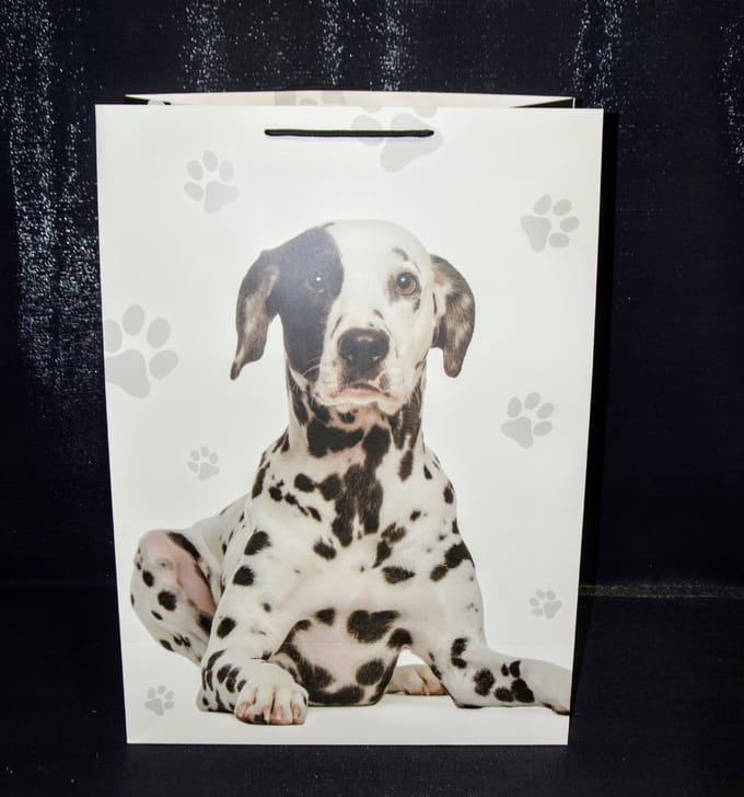Luxe Cadeautas 56x40x20cm - 4 Ontwerpen