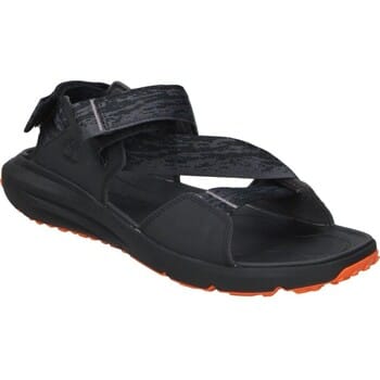 Mannenschoenen Timberland Motion Dune Backstrap Sandal Black Webbing