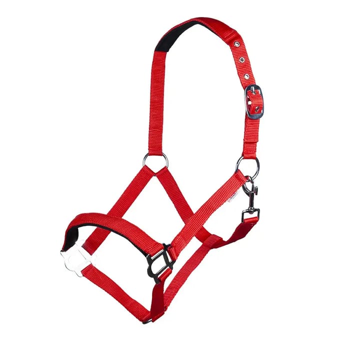 Halster voor paarden HKM Sydney