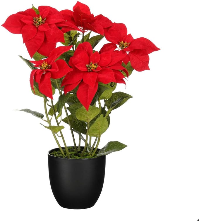 Mica Decorations Kunstplant Poinsettia - 40x40x60 cm - Polyester - Rood