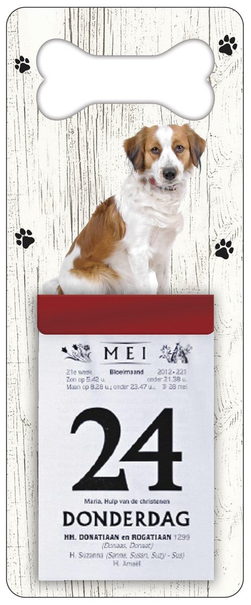 Scheurkalender 2027 Hond: Kooiker