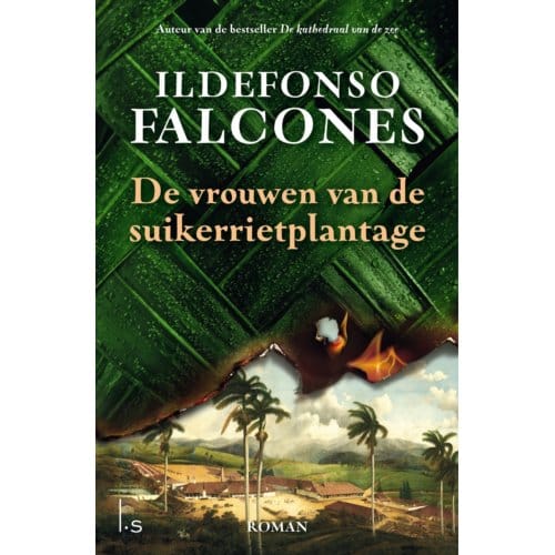 De Vrouwen Van De Suikerrietplantage - Ildefonso Falcones