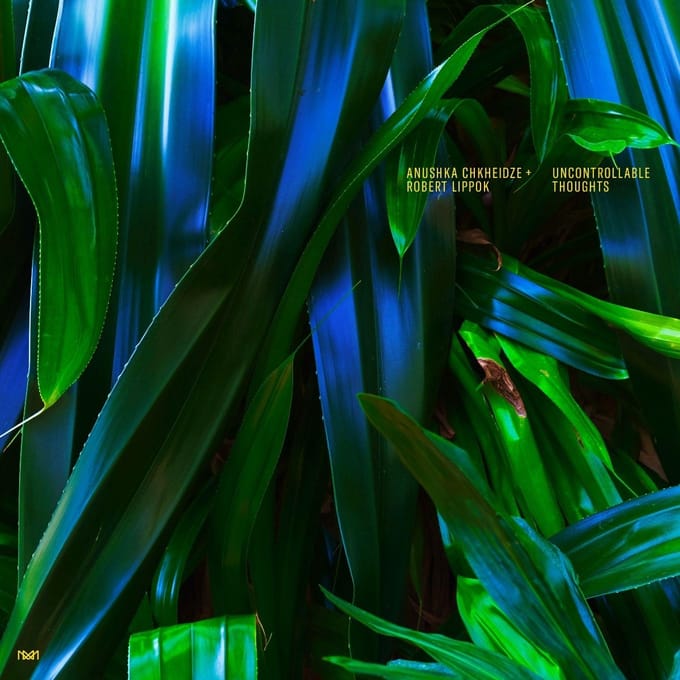 Anushka Chkheidze & Robert Lippok - Uncontrollable Thoughts (CD)
