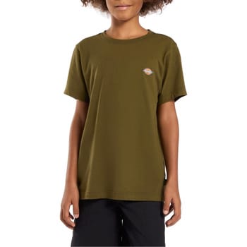 T-shirt Dickies -