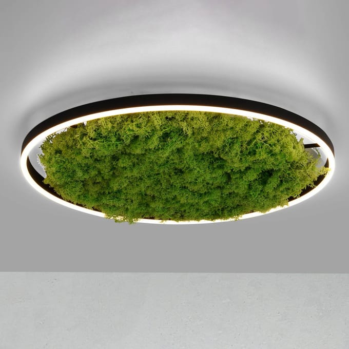 JUST LIGHT. GmbH LED plafondlamp Green Ritus, mos dimbaar Ø58,5cm