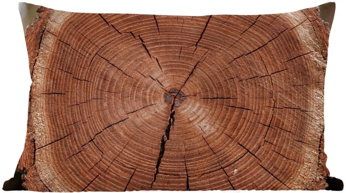 Sierkussens - Kussentjes Woonkamer - 50x30 cm - Boom - Ringen - Bruin