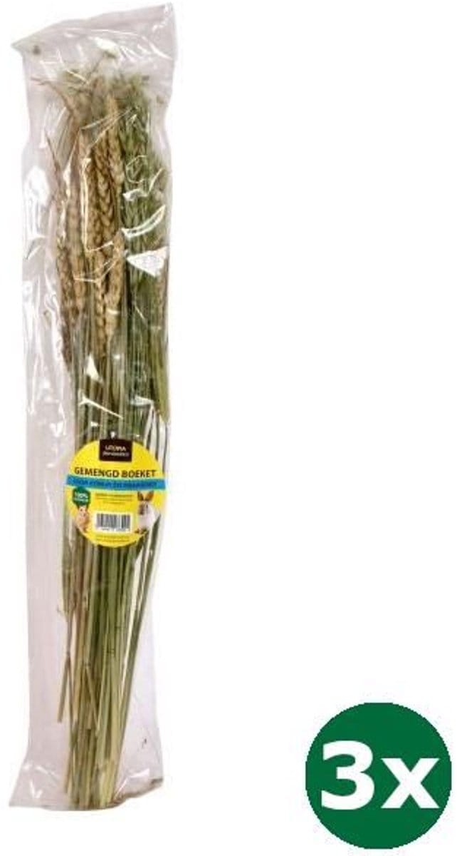 3x Utopia gemengd boeket knaagdier