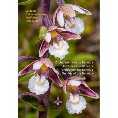 Orchideeën Van De Benelux - C.A.J. Kreutz
