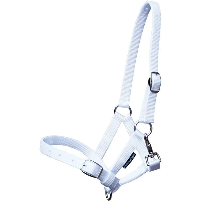 Harry's Horse Veulenhalster paard Full Veulen Wit