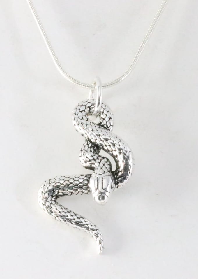 Zilveren slang hanger aan ketting
