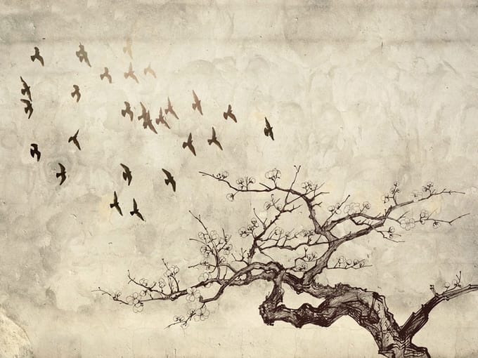 Fotobehang - Flock of birds.