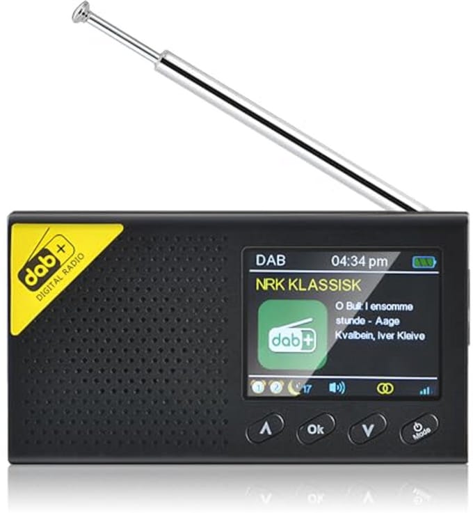 Draagbare Oplaadbare Dab/Dab+/FM Radio met Bluetooth en Klokfunctie