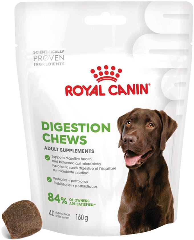 Royal Canin Supplement Digestion 6 x 160 gr
