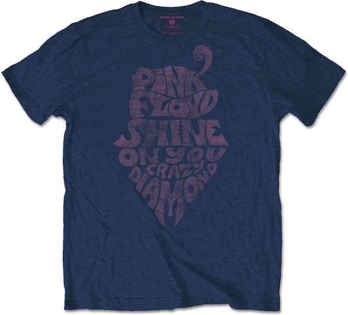 Pink Floyd - SOYCD Vintage Heren T-shirt - M - Blauw