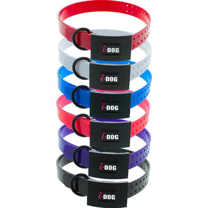 Hondenhalsband I-DOG Premium