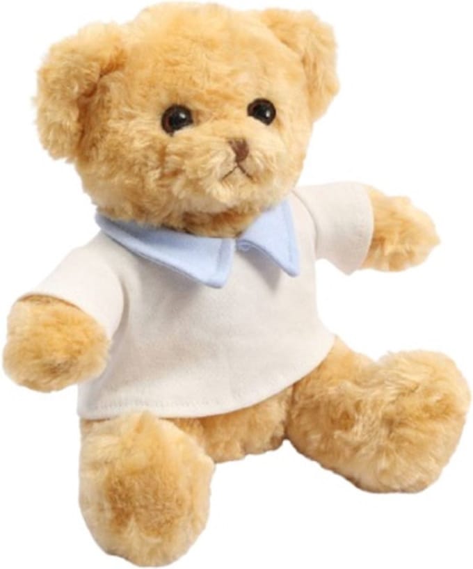Soft Touch Teddybeer Junior T-shirt 20 Cm Polyester Bruin/blauw